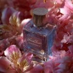 Creative Perfume Layering Combinations To Elevate Your Scent