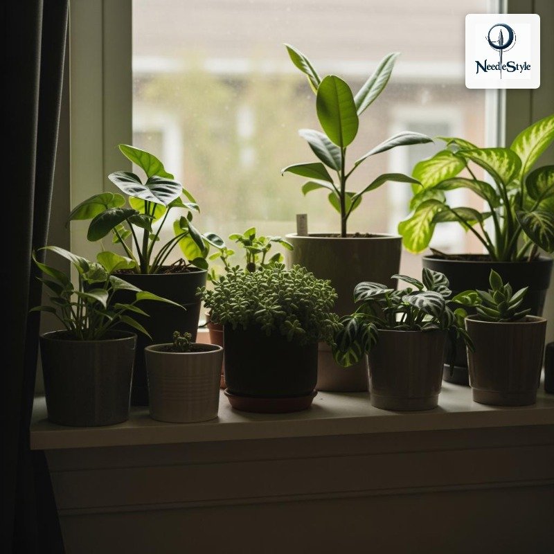 Put Something Living on Your Desk (Plants Are Doing a Lot of Work Here)