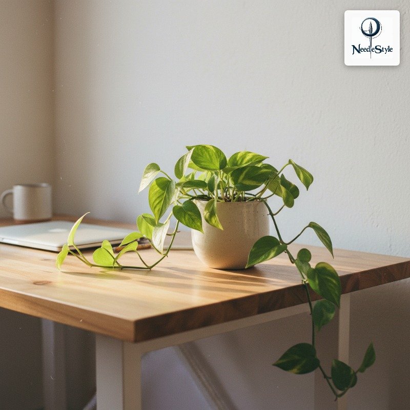 Put Something Living on Your Desk (Plants Are Doing a Lot of Work Here)
