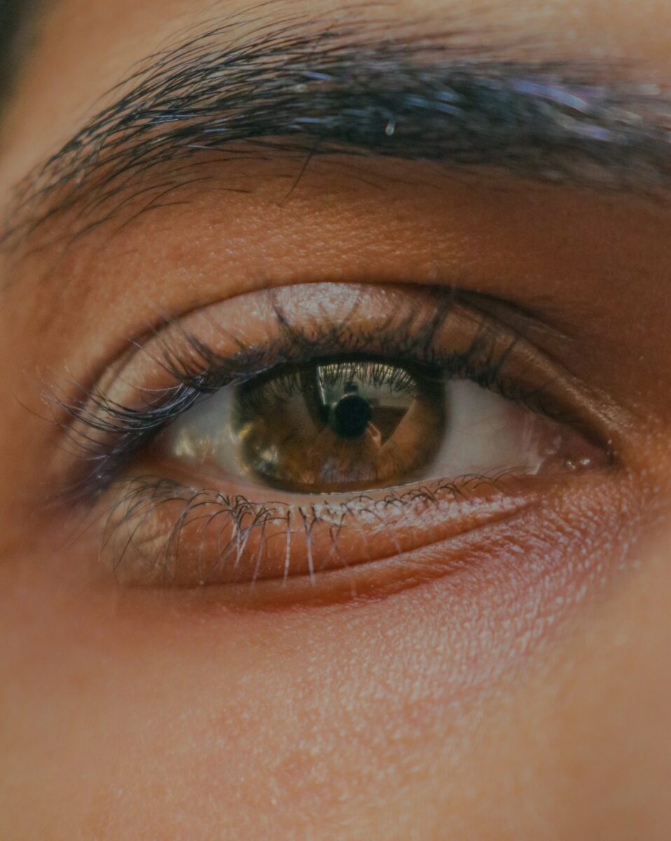 A close-up of a brown eye with curled, mascara-coated lashes and a full natural brow